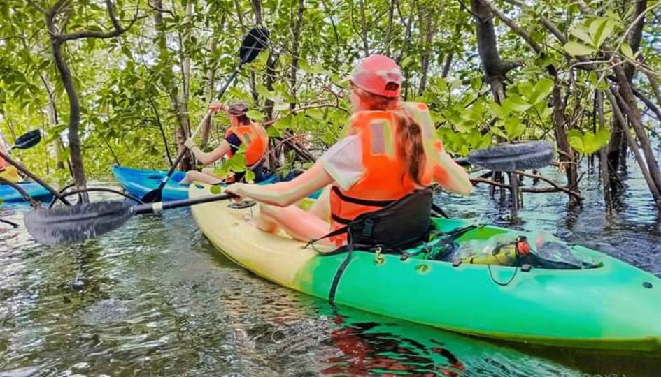 Mangrove Kayaking Tour